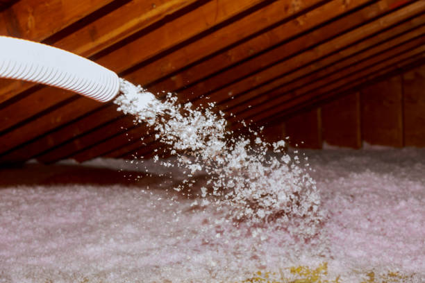 Best Cellulose Insulation in Arkwright, SC