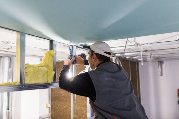 Best Eco-Friendly Insulation in Arkwright, SC