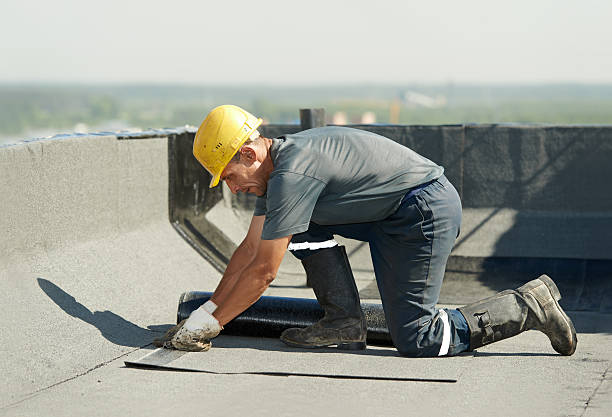 Best Insulation Maintenance and Repair in Arkwright, SC